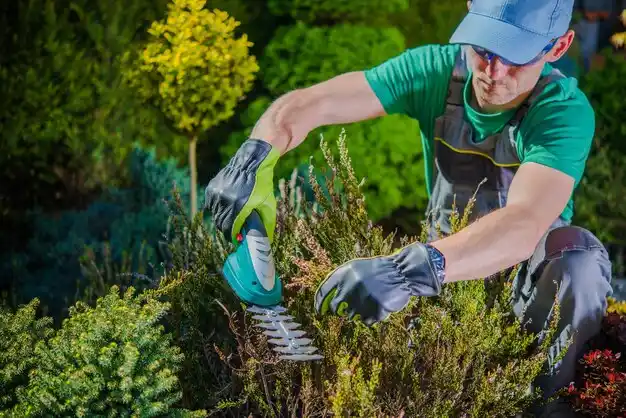 landscaping services Metamora